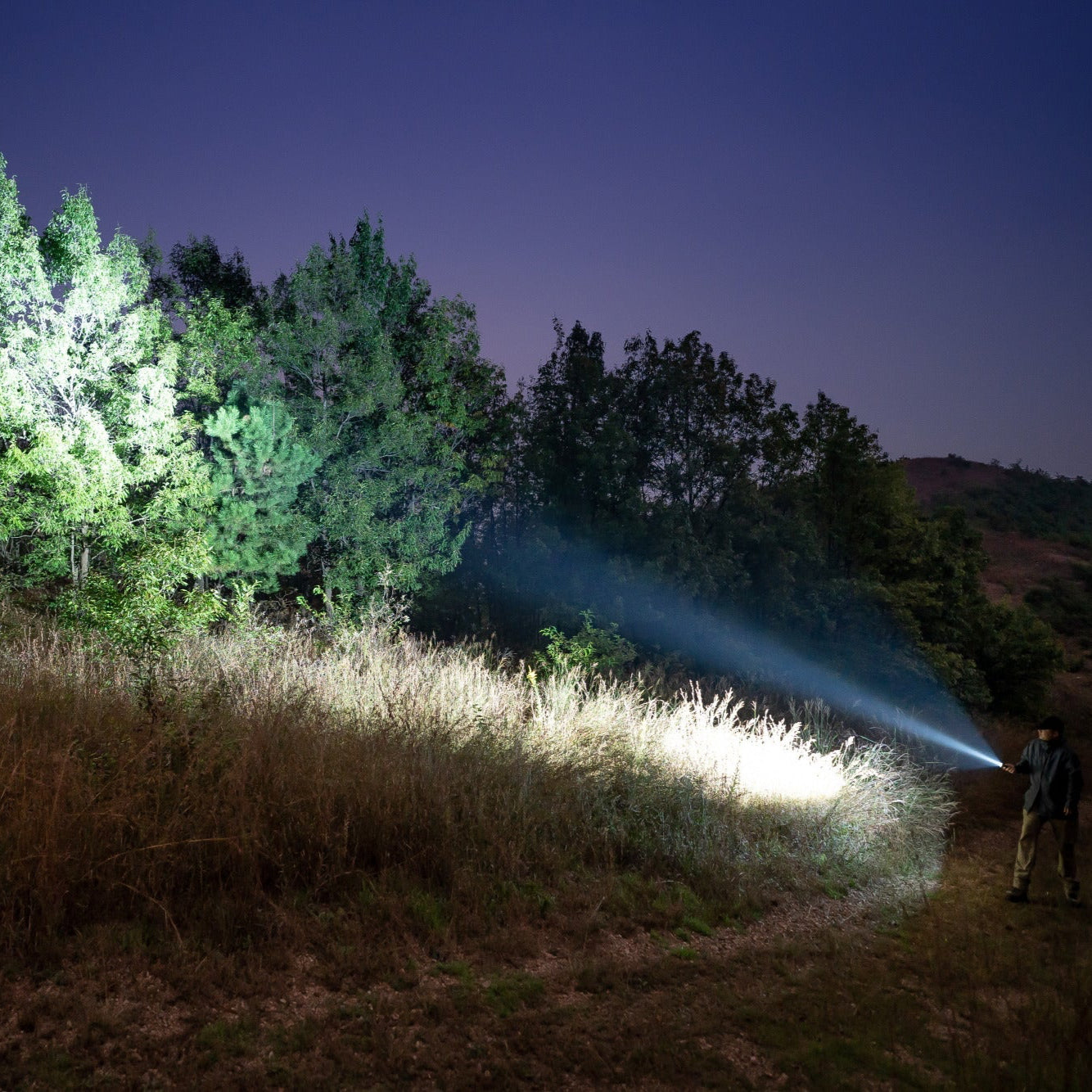 Person using a flashlight in a dark forest